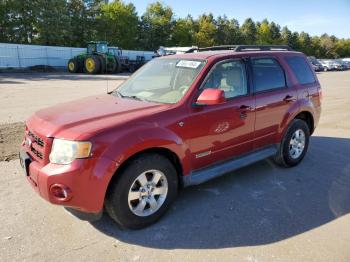  Salvage Ford Escape