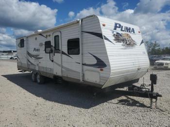  Salvage Puma Palamino