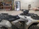 Honda Trx700 Image 2